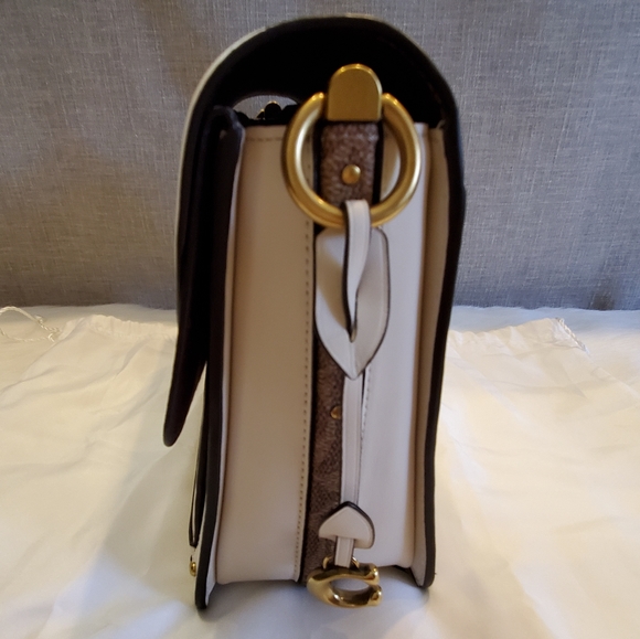 COACH DREAMER SIGNATURE COLORBLOCK CANVAS LEATHER - Picture 12 of 16